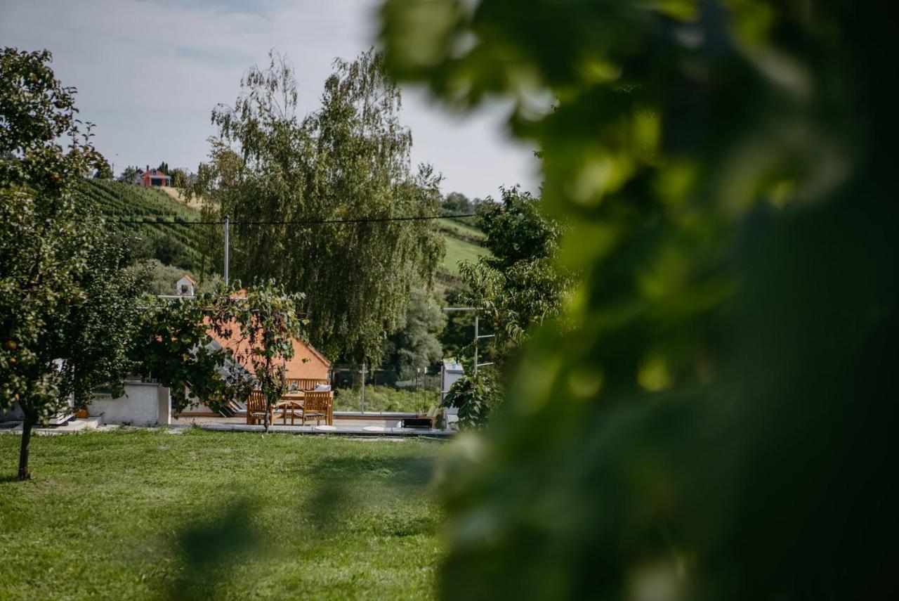 Wein Cottage Kellerstoeckl Eisenberg an der Pinka Экстерьер фото