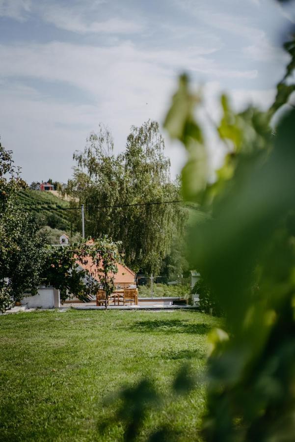 Wein Cottage Kellerstoeckl Eisenberg an der Pinka Экстерьер фото